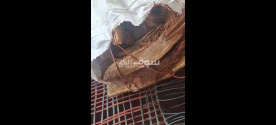 نهر النيل شند