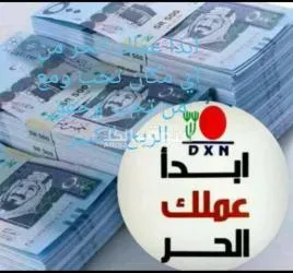 وظيفتك لدينا وراتبك تختارة انت - 13