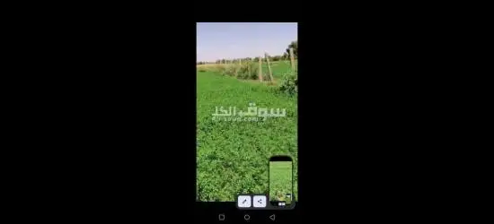 ام درمان السروراب - 4