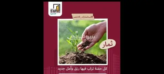 مشروع ثمار الزراعي مشروع استثماري ضخم